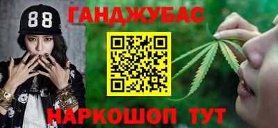 стаф Новозыбков