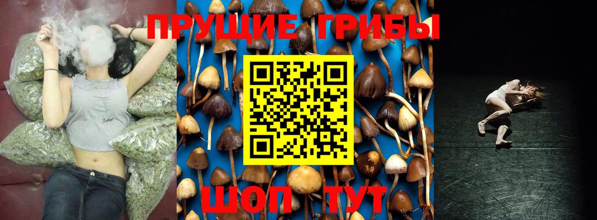 Псилоцибиновые грибы Psilocybine cubensis Шали